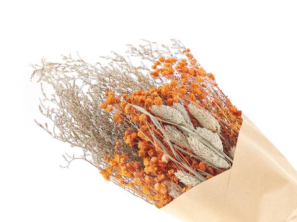 Trockenblumenstrauß CERCEDILLA Blau - Braun - Orange - Naturfaser - 15 x 65 x 8 cm