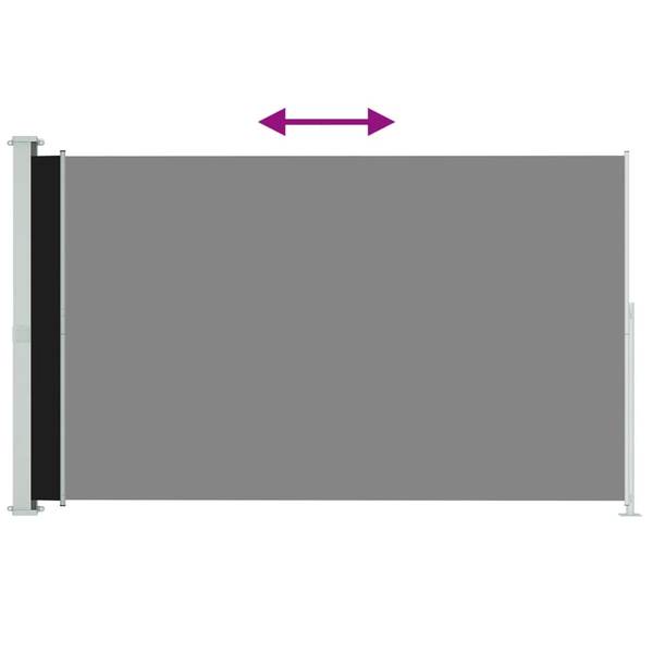 Seitenmarkise D2048 Schwarz - 300 x 1 x 220 cm