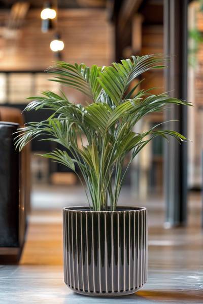 Blumentopf London Grau - 35 x 33 x 35 cm