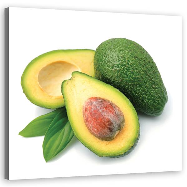 Wandbild avocado obst 40 x 40 cm