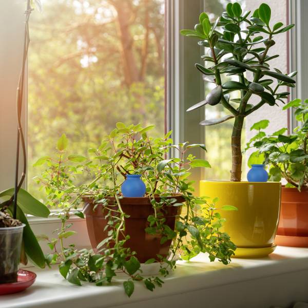 Waterdruppelaar planten set van 4 blauw - bruin - keramiek - 6 x 12 x 6 cm