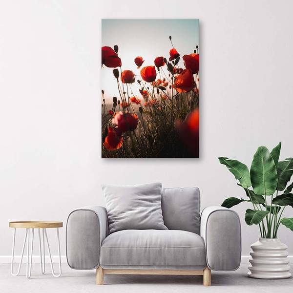 Canvas schilderij papavers in de zon 40 x 60 cm