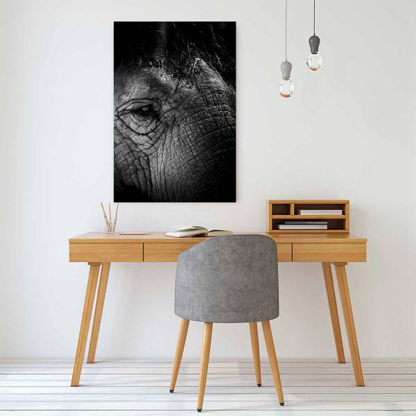 Tableau eléphant close up 80 x 120 x 80 cm - Matière plastique