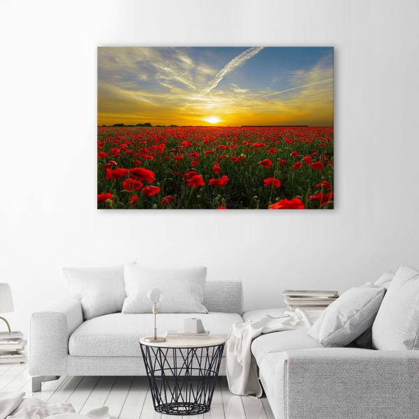 Wandbild mohnwiese in der sonne 100 x 70 cm