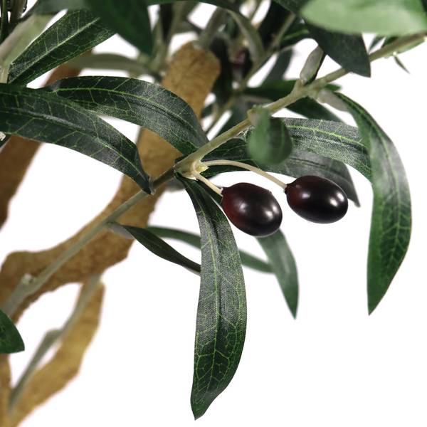 thuja smaragd schwarz Thuja "Smaragd" (100-120 cm) im Topf