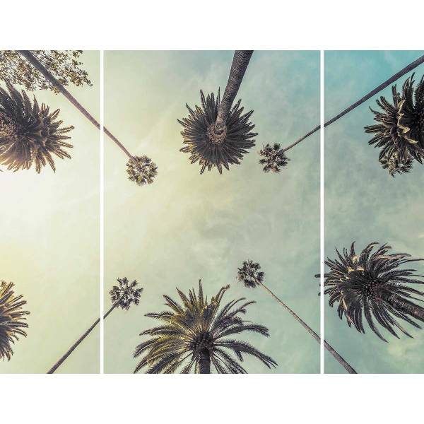 Triptyque sur toile palmiers 125x97 cm Vert - Acacia - 125 x 97 x 3 cm