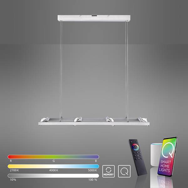 LED Pendellampe Q-FISHEYE Smart Home Silber - Aluminium - 17 x 120 x 99 cm