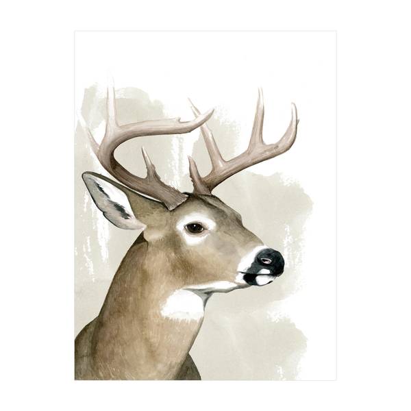 Waldfreunde - Hirsch 75 x 100 cm