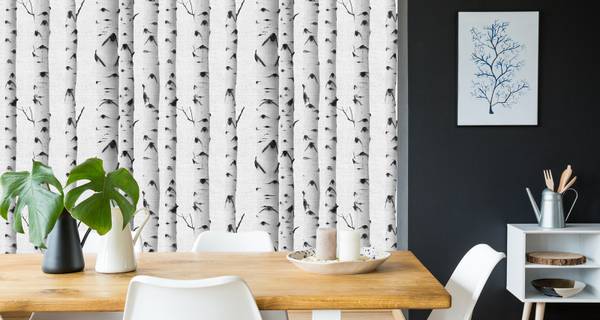 Fototapete BÄUME Birken Pflanzen Natur Schwarz - 405 x 270 x 270 cm