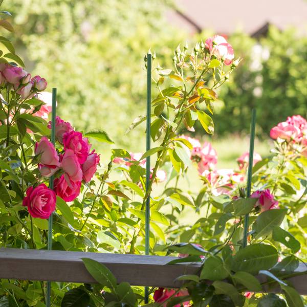 Tuteur de 90 cm en lot de 10 Vert - Acier - 1 x 90 x 1 cm