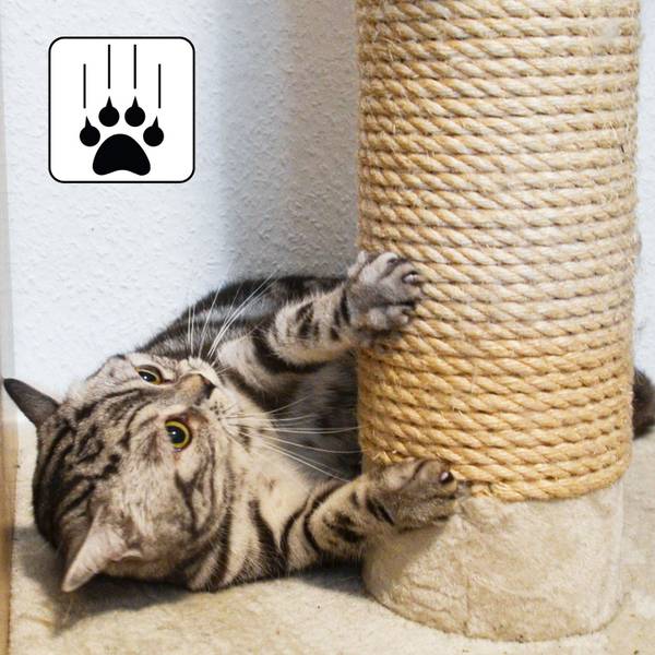 eukanuba trockenfutter Eukanuba Daily Care Adult Working &amp; Endurance Hundefutter  PETSGANG  HOUSES