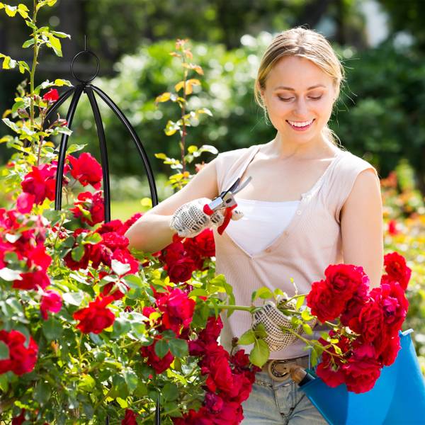 Plantensteun set van 2 zwart - ijzer - 29 x 149 x 29 cm