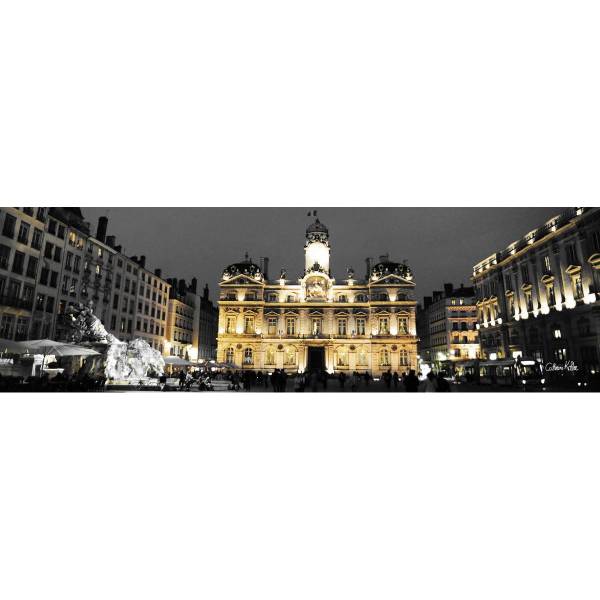 Tableau mural place des Terreaux Lyon Noir - Acacia - 30 x 97 x 3 cm