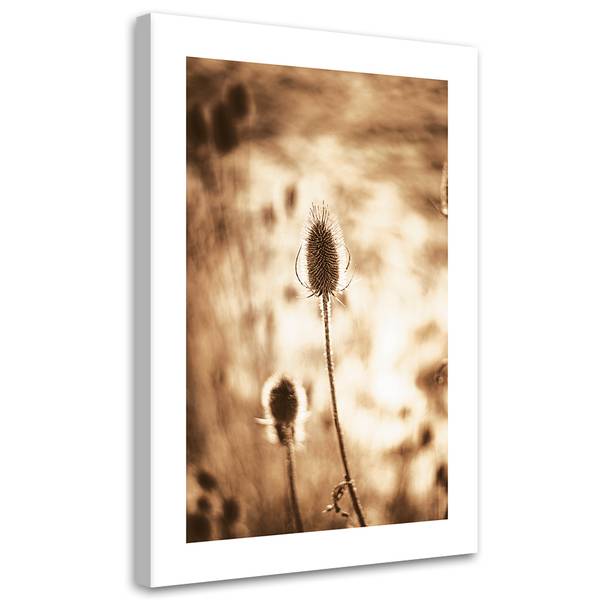 Wandbild getrocknete pflanzen 70 x 100 cm