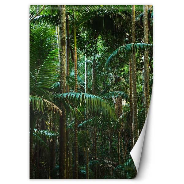 Papier peint, Arbres tropicaux sur l'île 150 x 210 cm