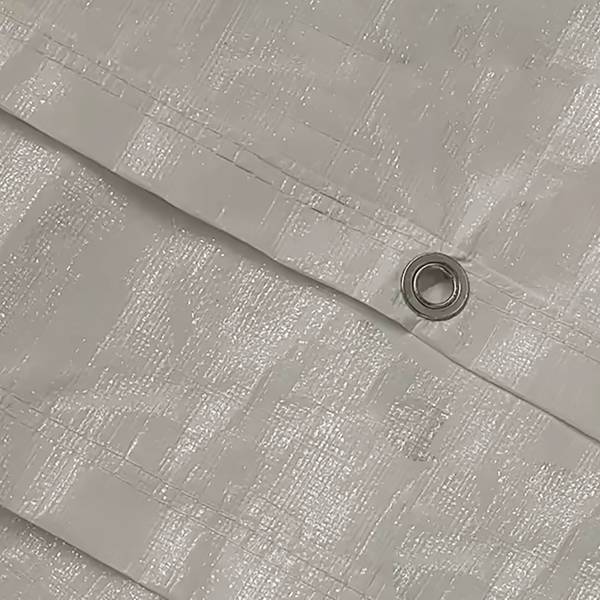 Freilaufgehege mit Tür Silber - Stahl - 200 x 200 x 300 cm