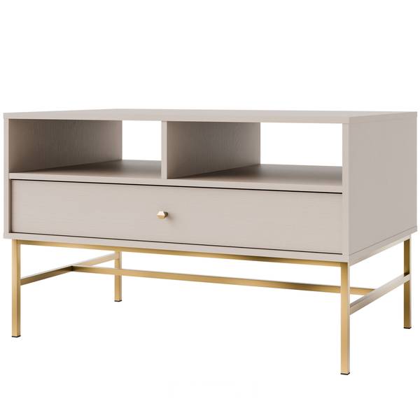 Couchtisch FLOREN III Grau - Holzwerkstoff - 100 x 63 x 65 cm