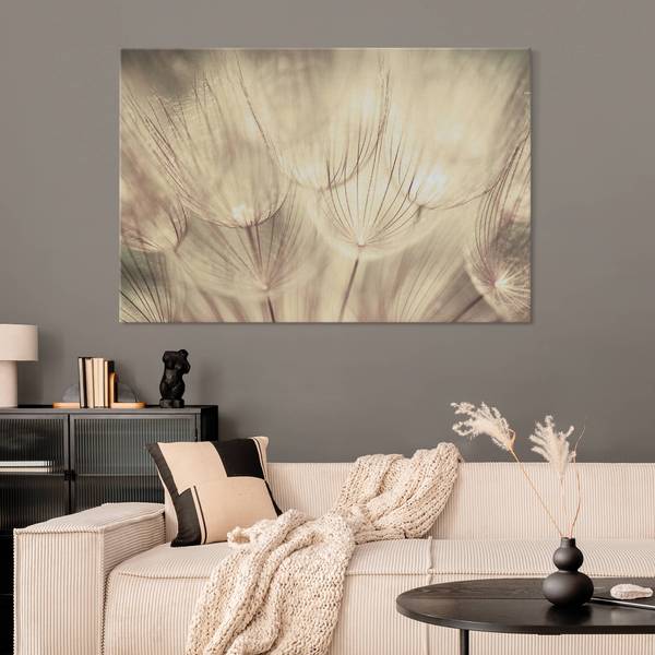 Akustikbild Pusteblumen Nahaufnahme 70 x 50 cm