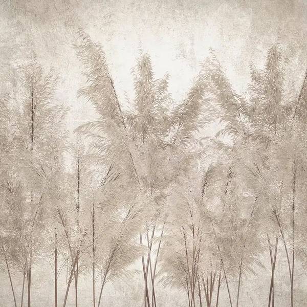 Fototapete 601496 Beige - Papier - 375 x 270 x 375 cm