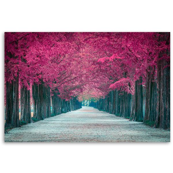 Wandbild bäume park 100 x 70 cm