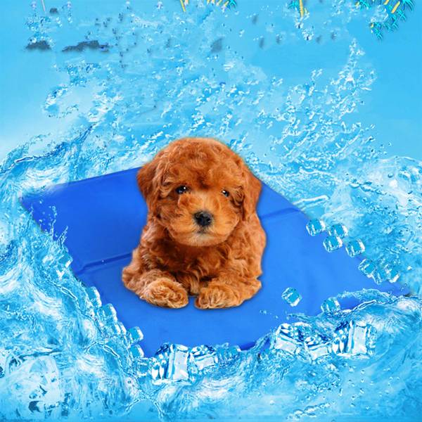 Hundematten Box Blau - Textil - 40 x 1 x 50 cm