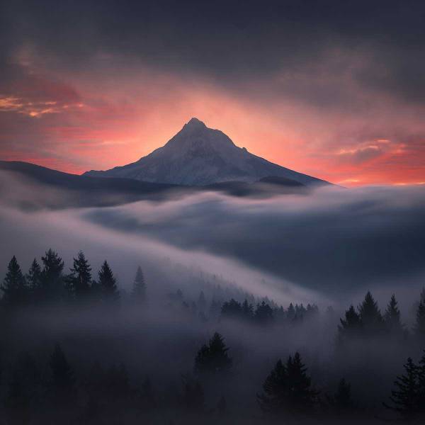 Tableau Brume en Oregon 90 x 60 x 90 cm - Fibres naturelles