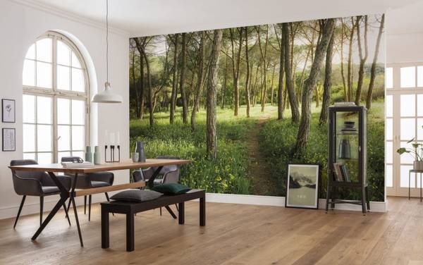 Fototapete 612611 Grün - Papier - 450 x 280 x 280 cm