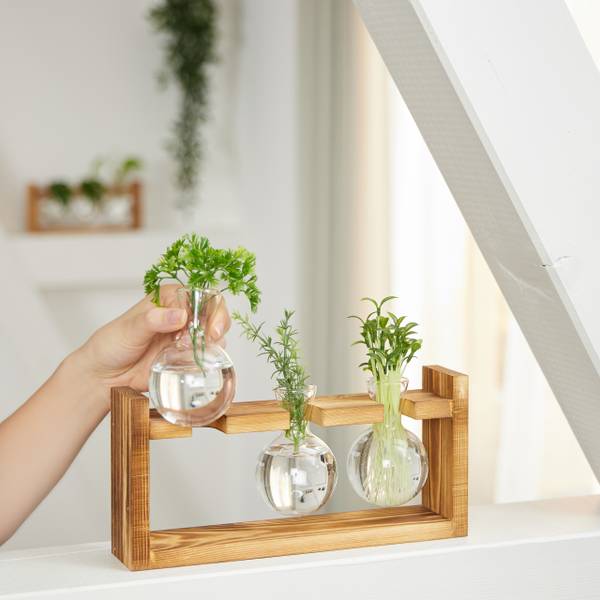Reagenzglas Vase mit Ständer kaufen