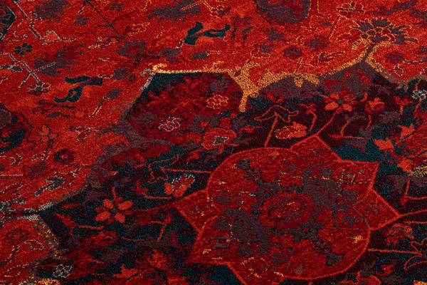 Teppich P15787 235 x 350 cm