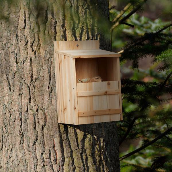 Nestkast roodborstje bouwpakket bruin - plaatmateriaal op houtbasis - 22 x 36 x 21 cm