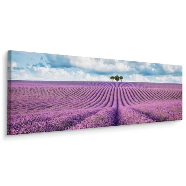 Tableau Panorama Champ de Lavande 3D Bleu - Mauve - Blanc - Lin - 145 x 45 x 45 cm