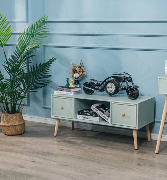 TV-Schrank 2 Schubladen AKITA Grün