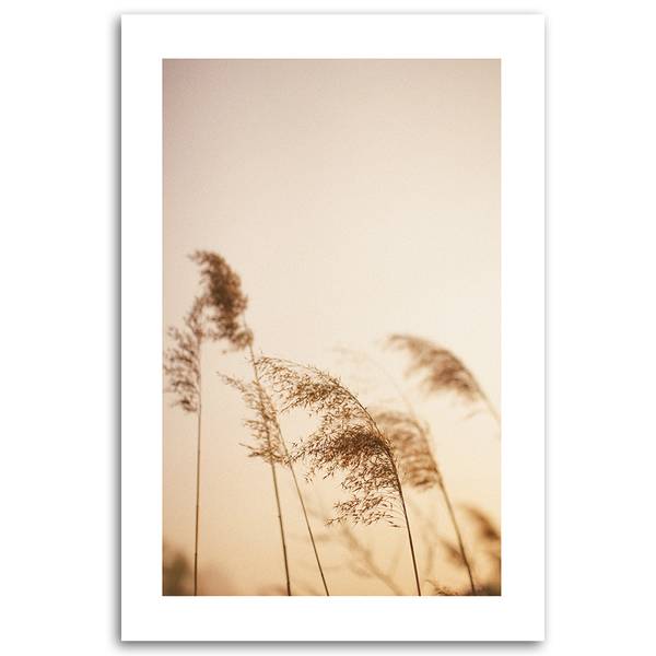 Tableau déco roseaux 70 x 100 cm