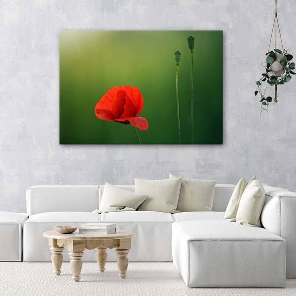 Tableau déco coquelicot 90 x 60 cm