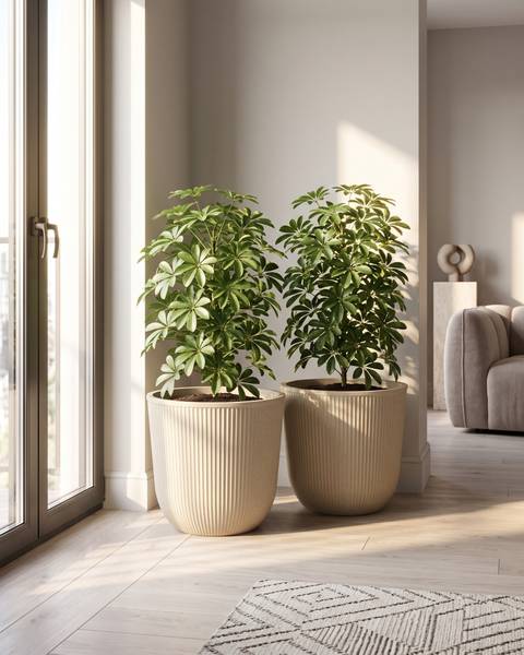 Blumentopf DRABA 2-tlg Beige - Kunststoff - 44 x 40 x 44 cm