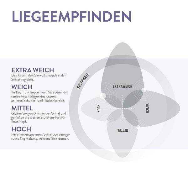 Gänsedaunenkissen 3-Kammer Platin Breite: 40 cm