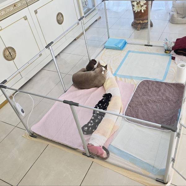 Welpenlaufstall Faltbar 180 cm Glas - 120 x 61 x 180 cm