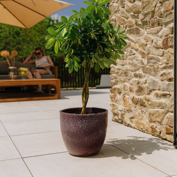 Blumentopf Lancelot 36 x 34 x 36 cm