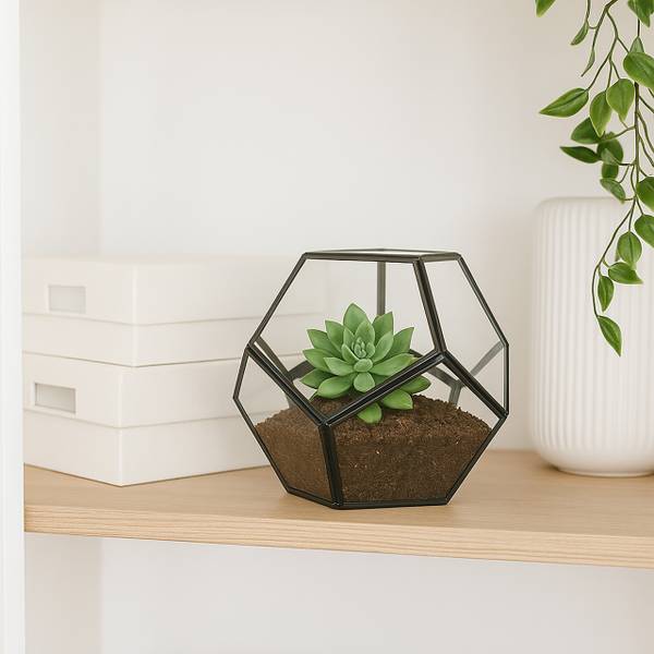 Planten terrarium voor vetplanten zwart - glas - metaal - 14 x 12 x 14 cm