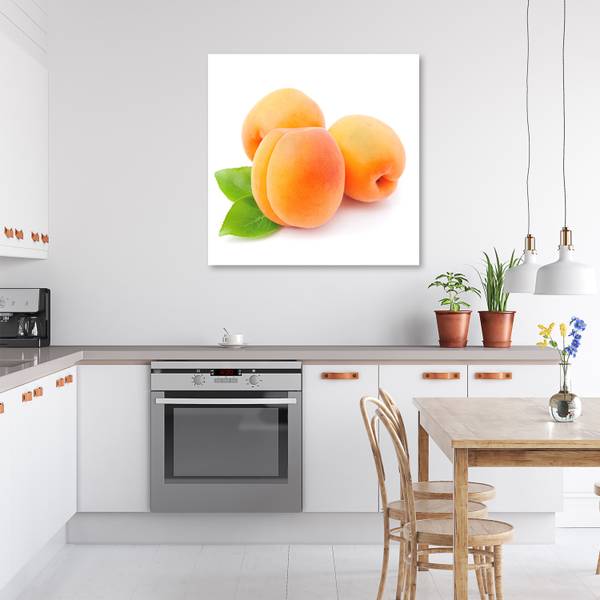 Wandbild früchte aprikose 60 x 60 cm
