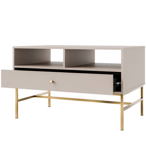 Couchtisch FLOREN III Grau - Holzwerkstoff - 100 x 63 x 65 cm