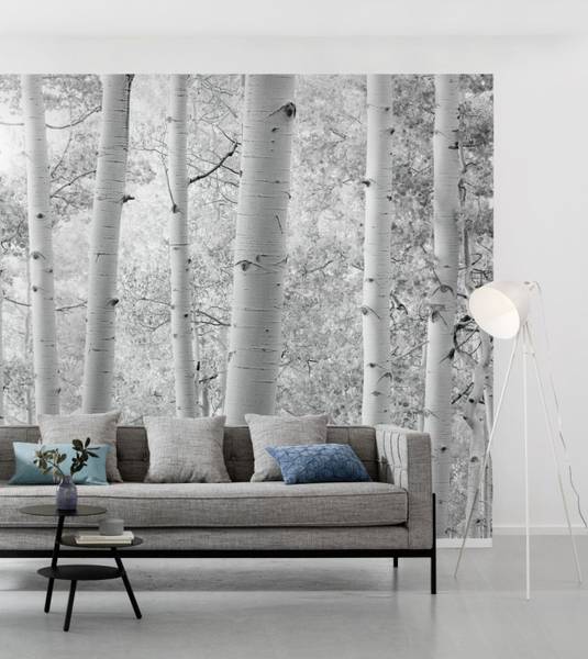 Fototapete 612623 Weiß - Papier - 450 x 280 x 450 cm