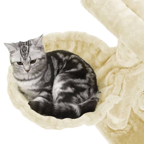 Katzenbaum Mbabane Beige - Textil - 48 x 96 x 48 cm