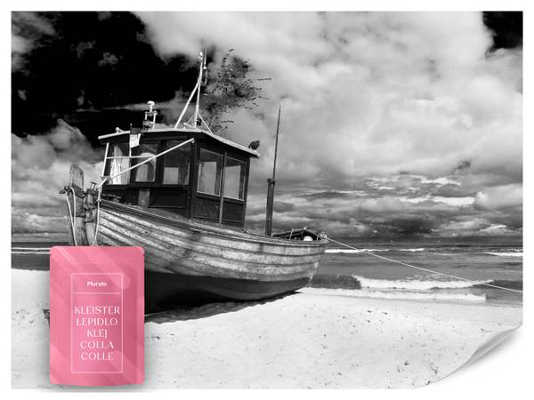 Fototapete Boot Strand Meer Natur 350 x 256 x 256 cm