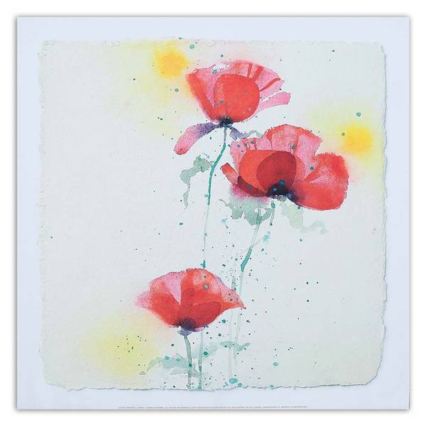 Wandbild wie handgemalt drei mohnblumen 30 x 30 cm