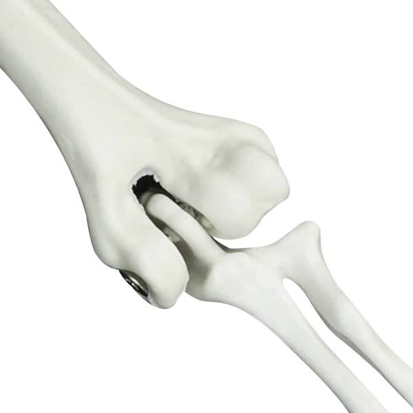 Halloween Deko 42020047 Weiß - Polypropylen - 10 x 10 x 20 cm