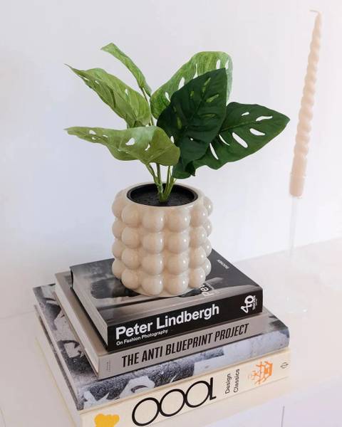 Künstliche Monstera Jonah Beige - Kunststoff - 1 x 30 x 1 cm