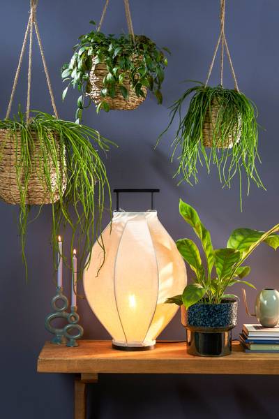 Hängender Blumentopf für drinnen Avalon Braun - Naturfaser - 30 x 90 x 30 cm