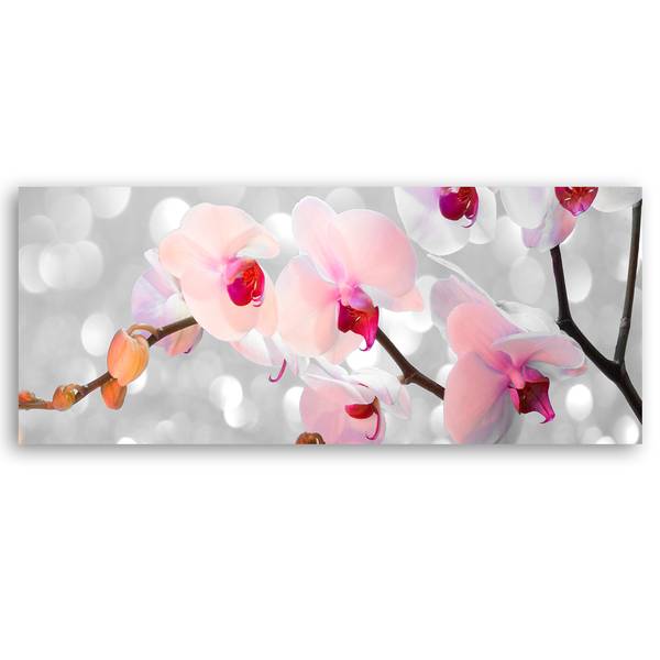 Wandbild orchidee blumen natur 120 x 40 cm