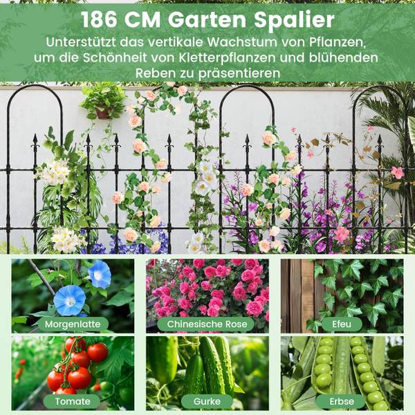 Garten-Spalier SF6494DE Schwarz - Metall - 1 x 186 x 146 cm